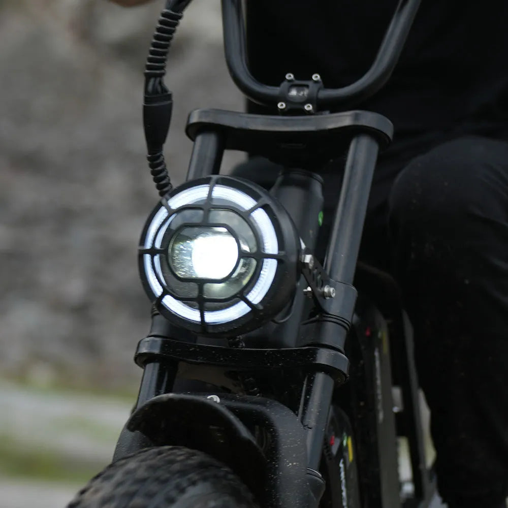 CYCROWN CycHunter Vintage Ebike