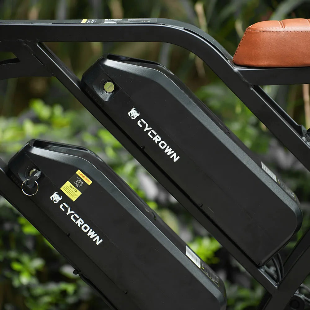 CYCROWN CycHunter Vintage Ebike