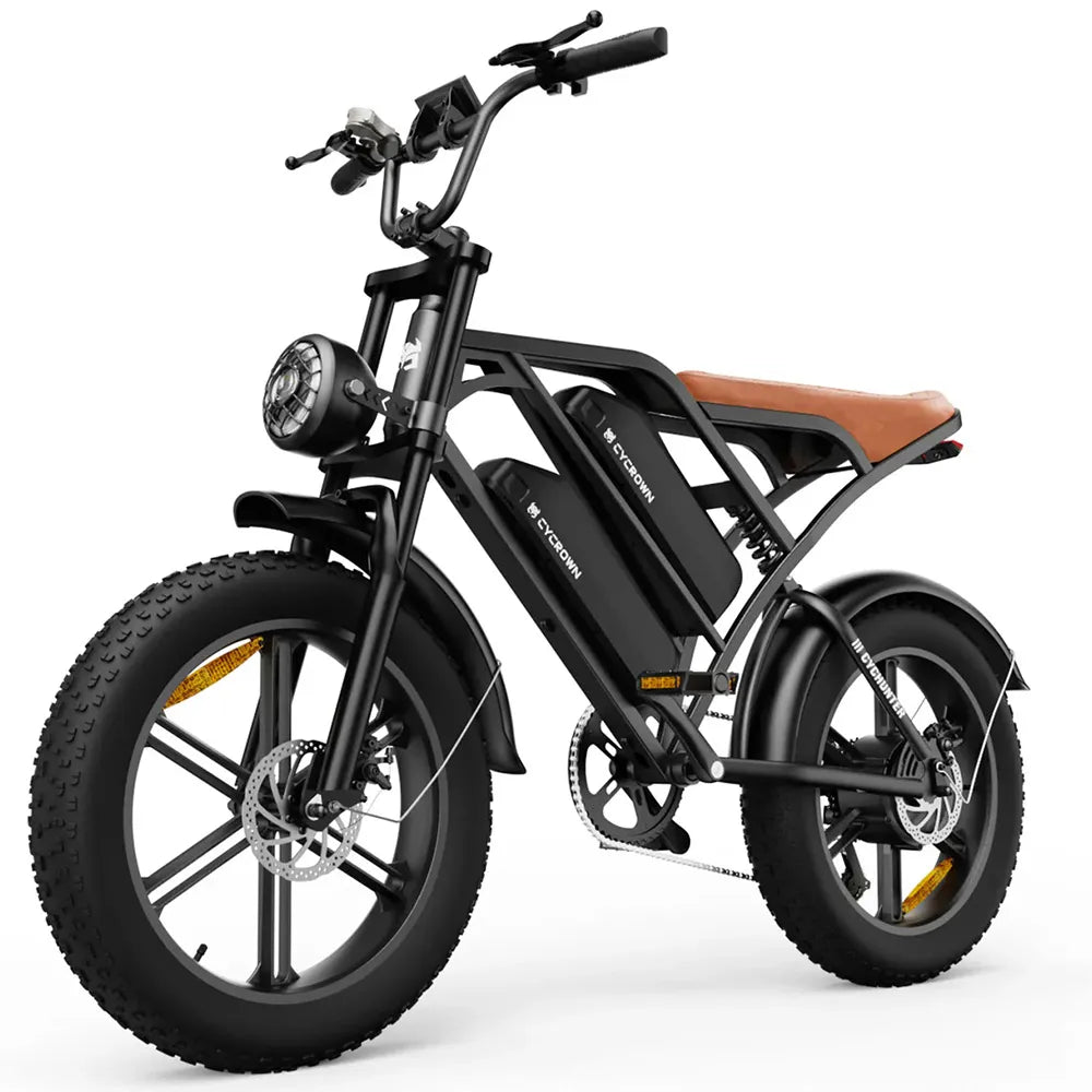 CYCROWN CycHunter Vintage Ebike