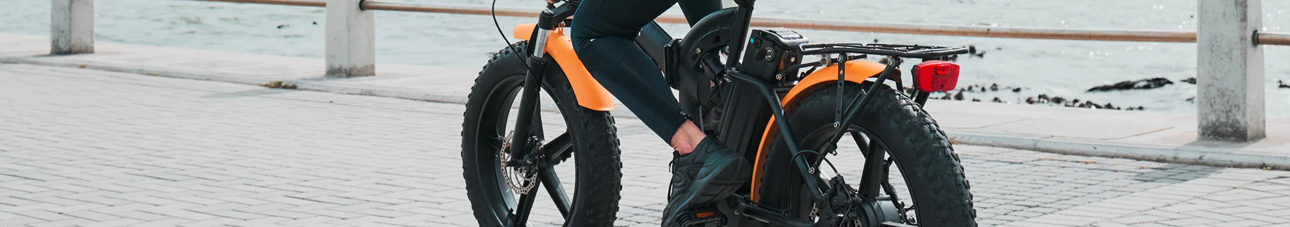 Electric Bikes