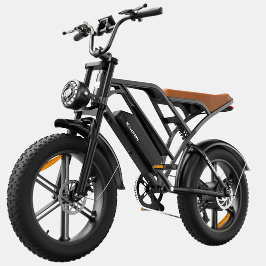 CycHunter 25KM/H Vintage Ebike