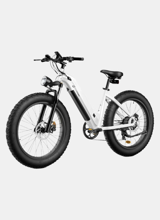 CYCROWN CycVerve All-Terrain ebike