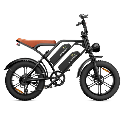 CYCROWN CycHunter Vintage Ebike