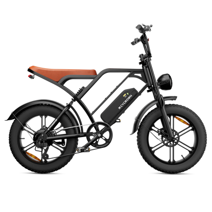 CYCROWN CycHunter Vintage Ebike
