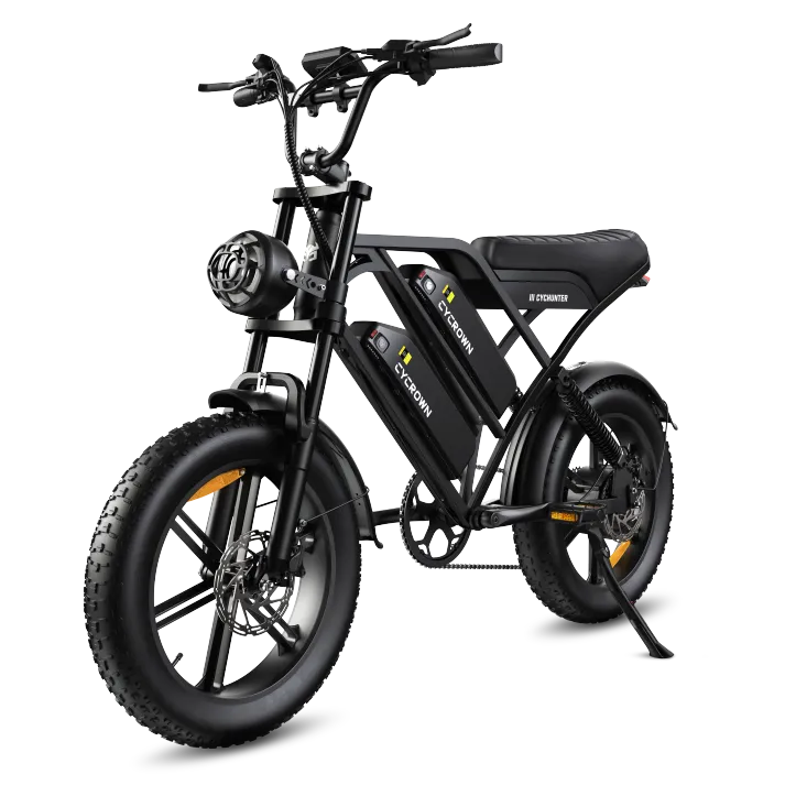 bc escooter service - cychunter 2.0 ebike 