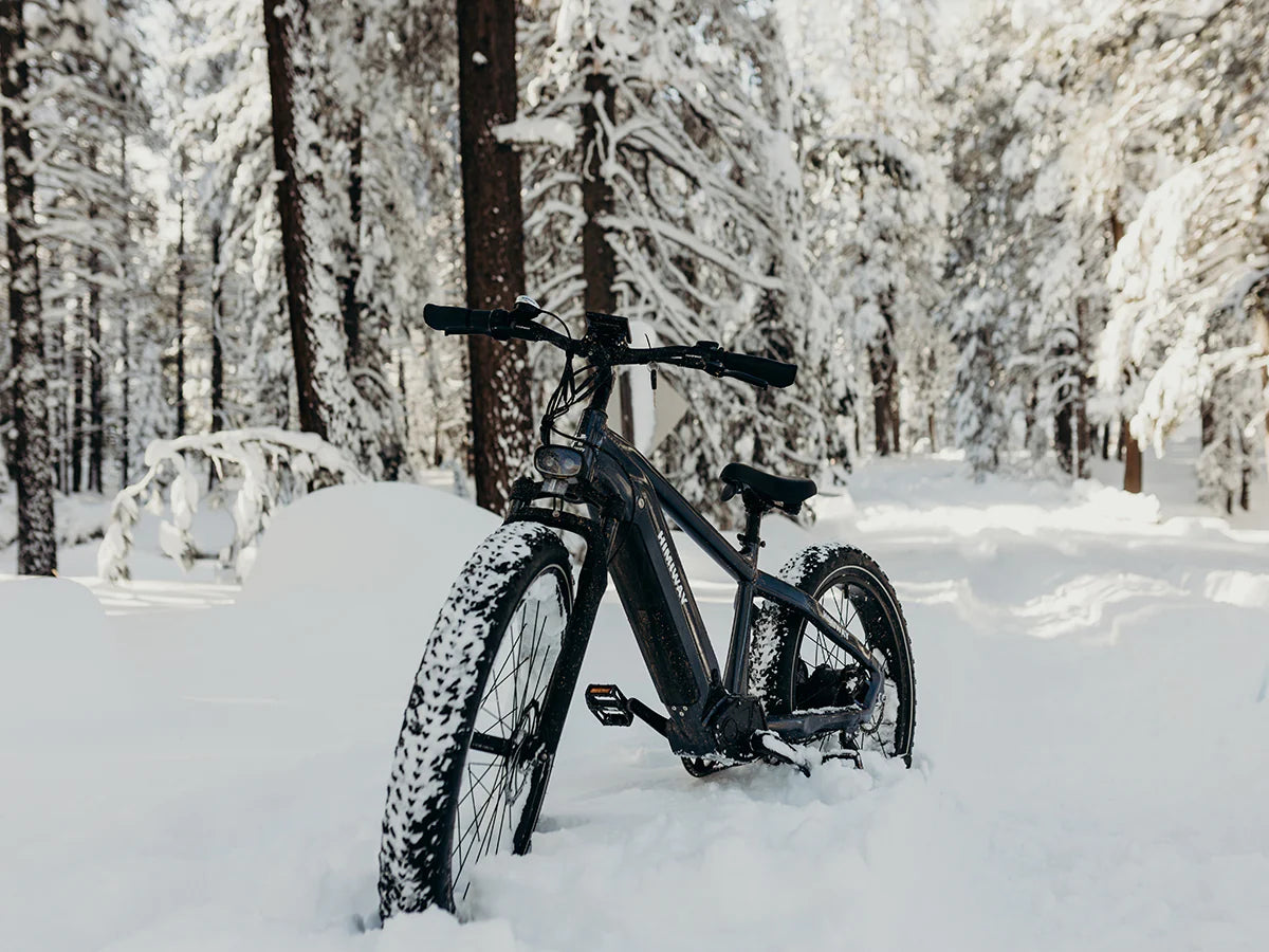 HIMIWAY ZEBRA Premium All-terrain Electric Fat Bike